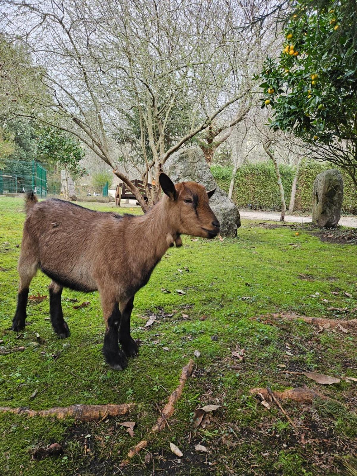 Campeggio Rural Ria De Arosa 2